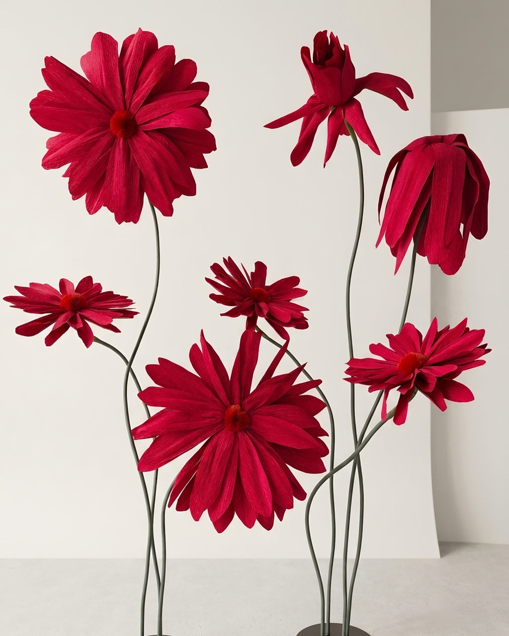 Giant red crepe paper daisies on stands, open and in bud