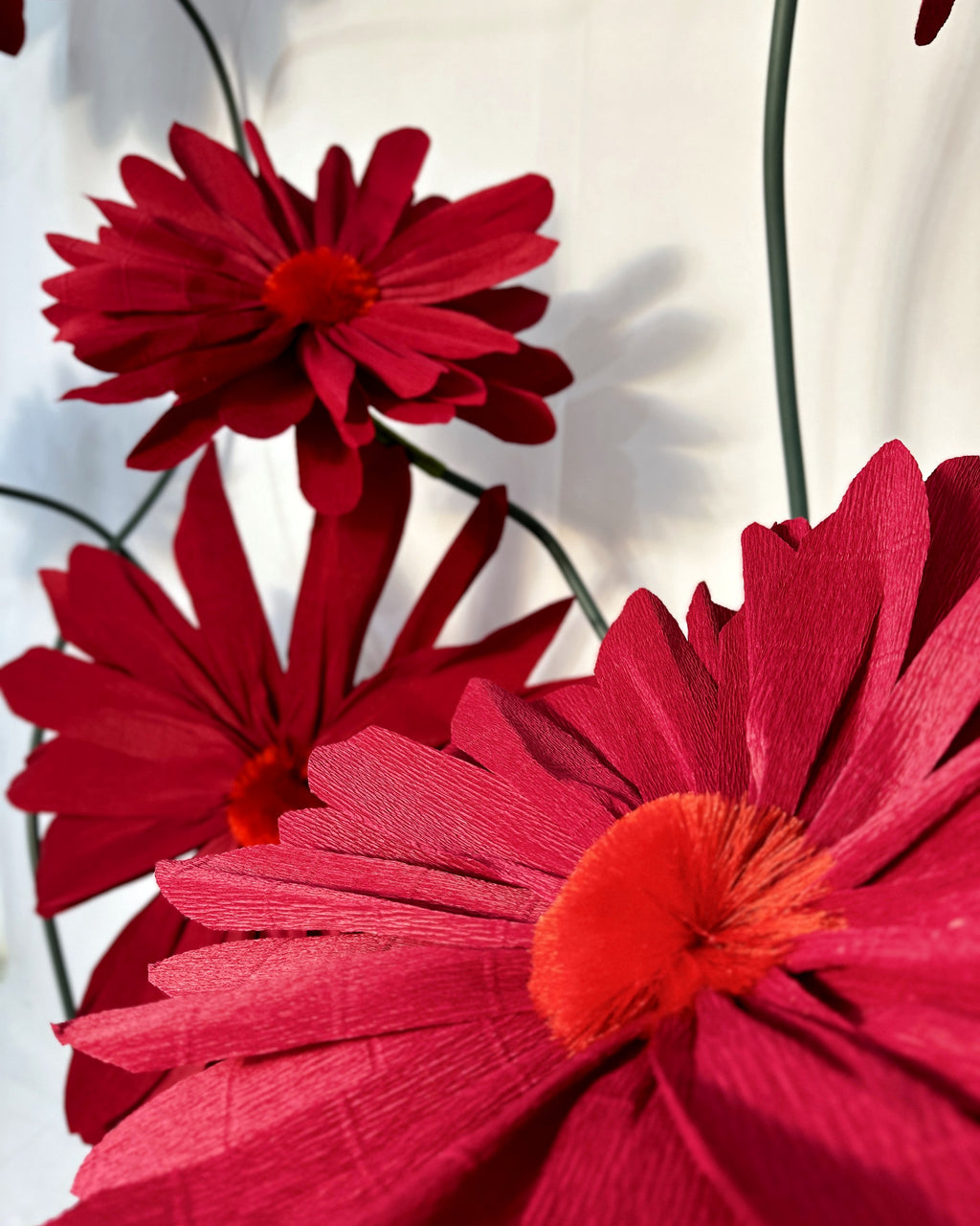 Tufted center of the giant Italian crepe paper daisy