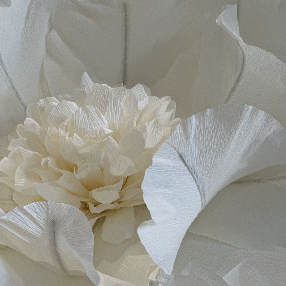 Painel de flores gigantes de papel crepom marfim, detalhe das pétalas