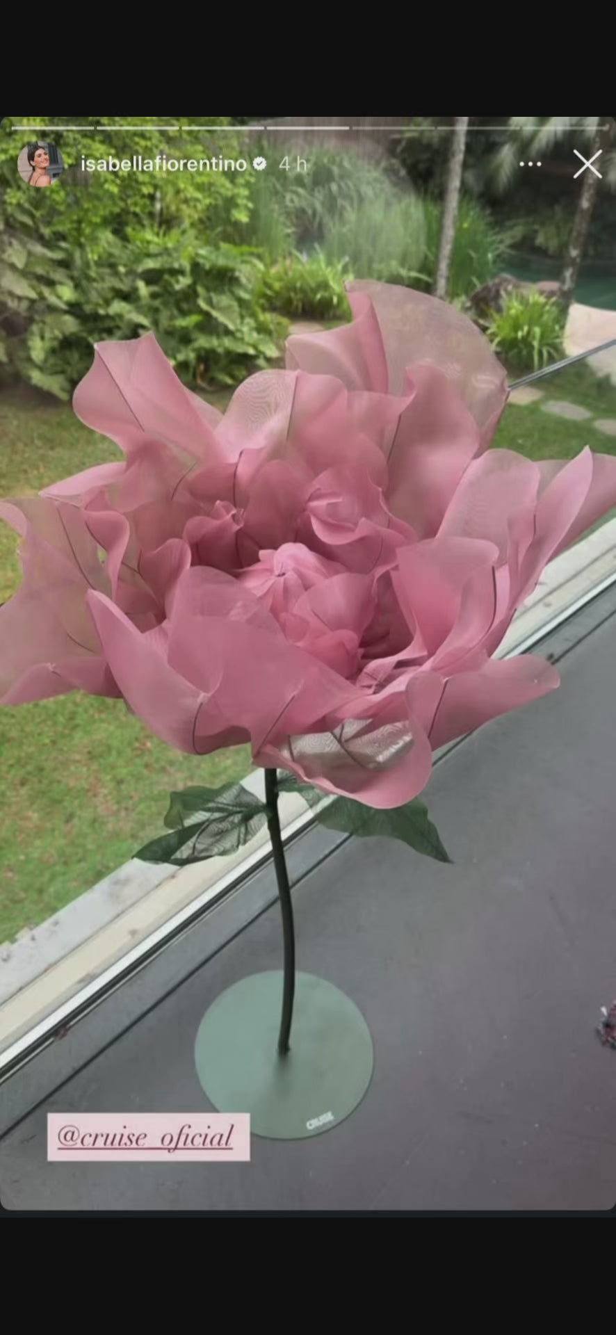 Vídeo das flores de organza grandes rosa no projeto Cruise