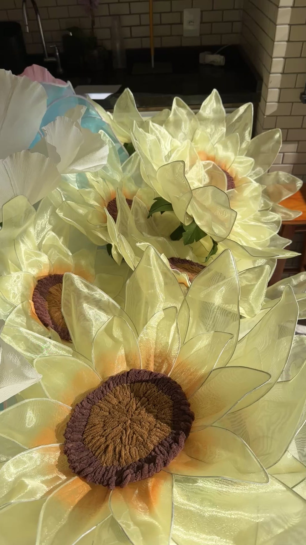 Vídeo: Girassol gigante de organza