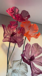 Vídeo: Arranjo de flores gigantes de organza com folhagem