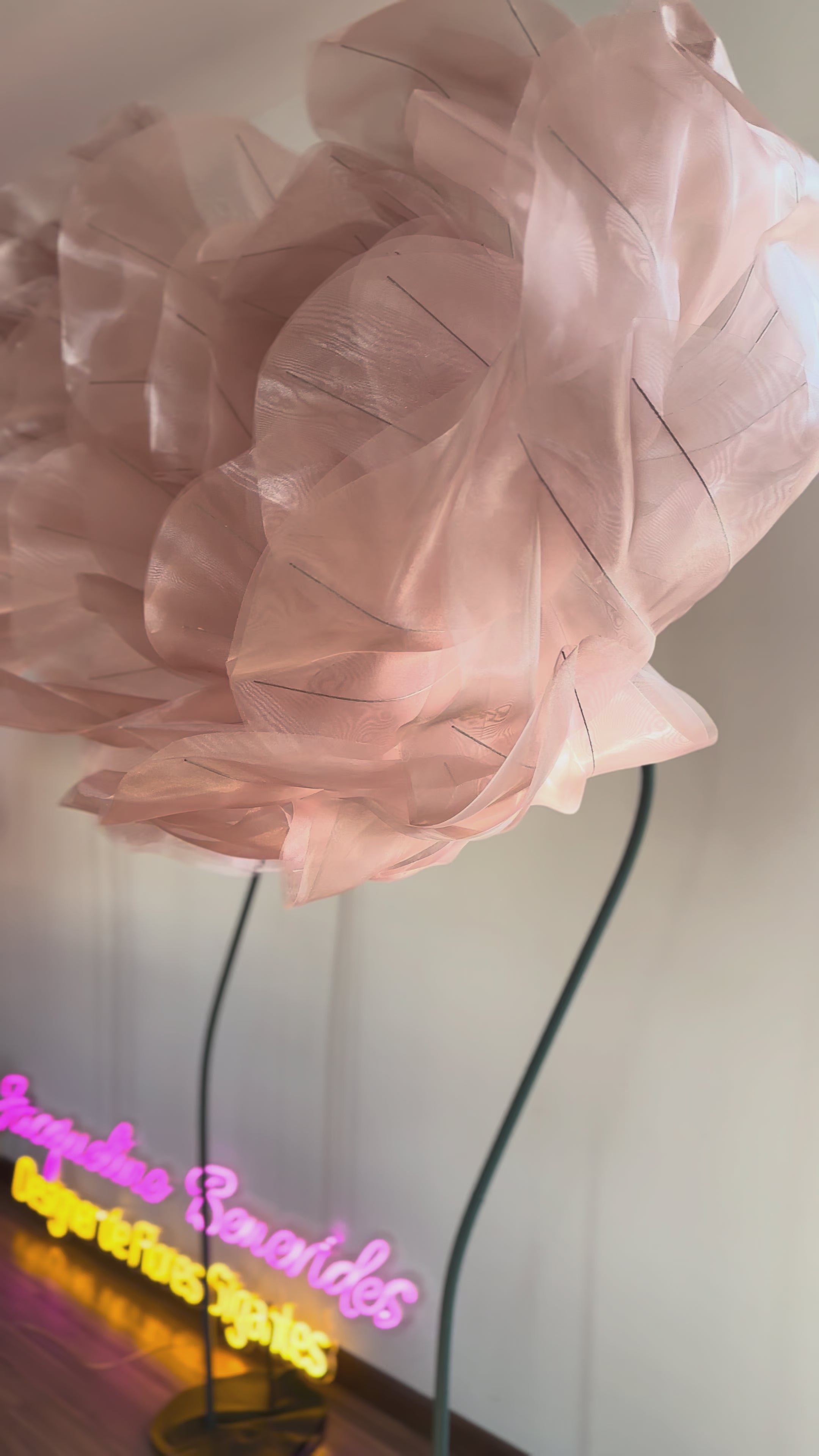 Vídeo: Rosa gigante de organza rosê
