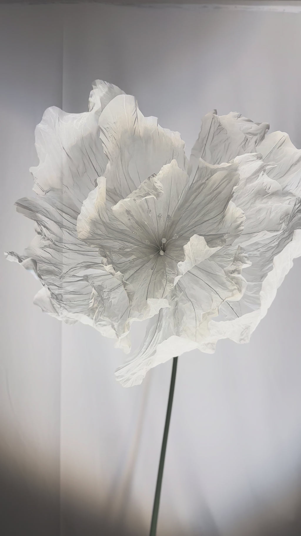 Vídeo: Flores gigantes de organza brancas pintadas à mão, detalhe do miolo