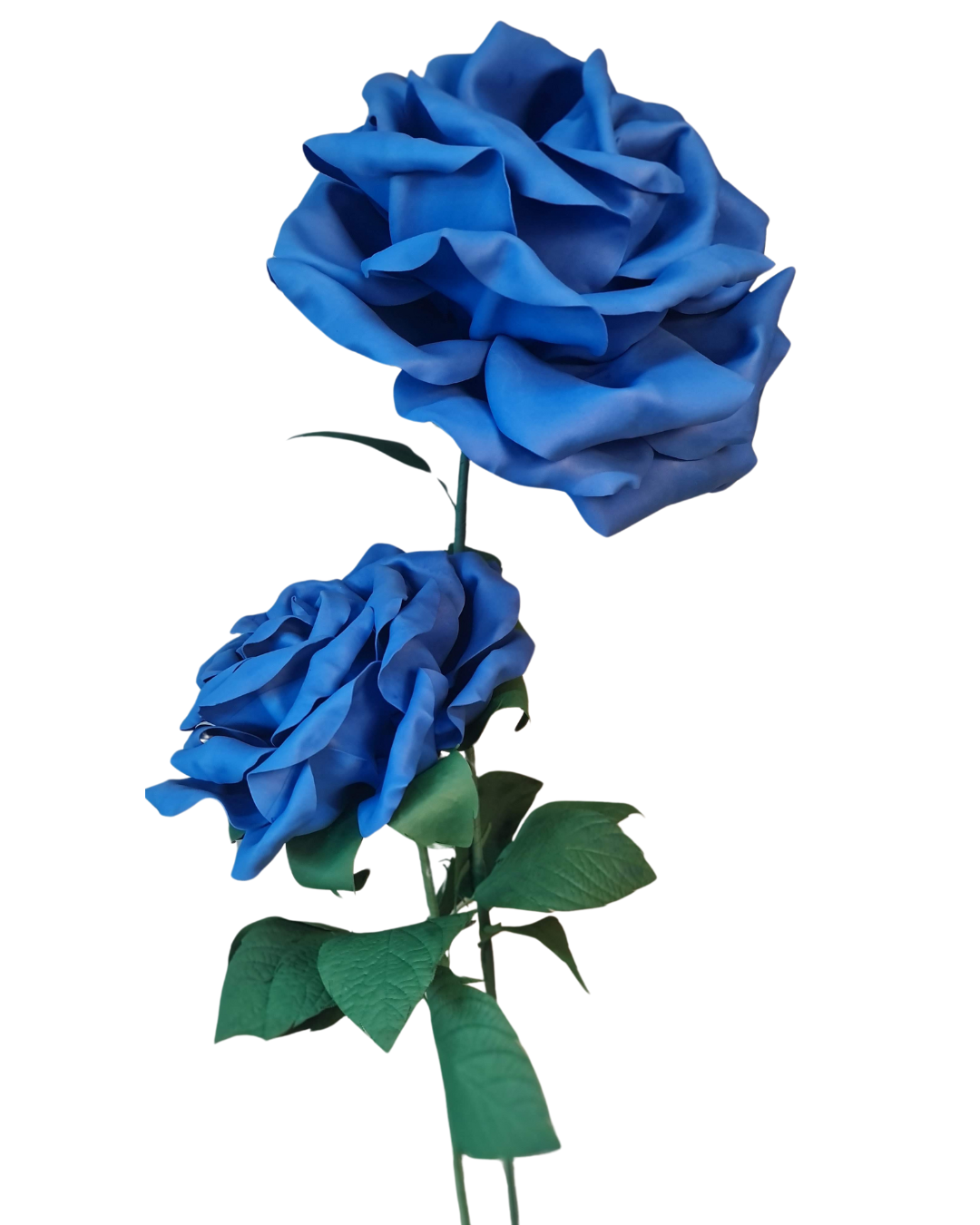 Close-up of the hand-shaped petals on the giant roses